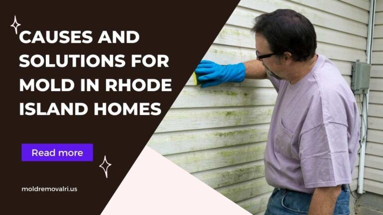 Causes and Solutions for Mold in Rhode Island Homes