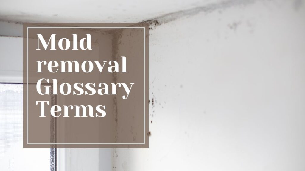 Mold removal Glossary Terms