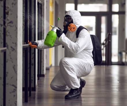 Mold Removal Services in Rhode Island
