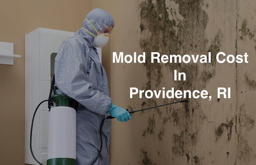 Mold Removal Cost In Providence RI